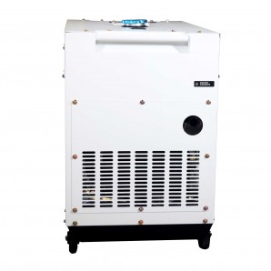 DHY6600SE-LRS Generador Diésel para Instalación Solar Hyundai