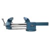 HY-59803 Tornillo de banco TUV/GS 150 mm